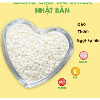 Gạo hữu cơ HOA SỮA Japonica 1kg