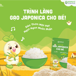 Gạo hữu cơ HOA SỮA Japonica 1kg