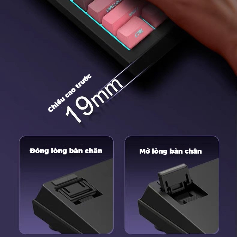 Bàn phím cơ không dây k81pro LED RGB HOTSWAP K81/87 phím kết nối 3 meod Có dây/ không dây 2.4G/Bluetooth Kết nối PC/iPad | BigBuy360 - bigbuy360.vn