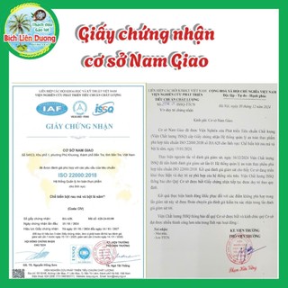 [COMBO 100 GÓI] BỘT LÁ SÂM CKF NGUYÊN CHẤT
