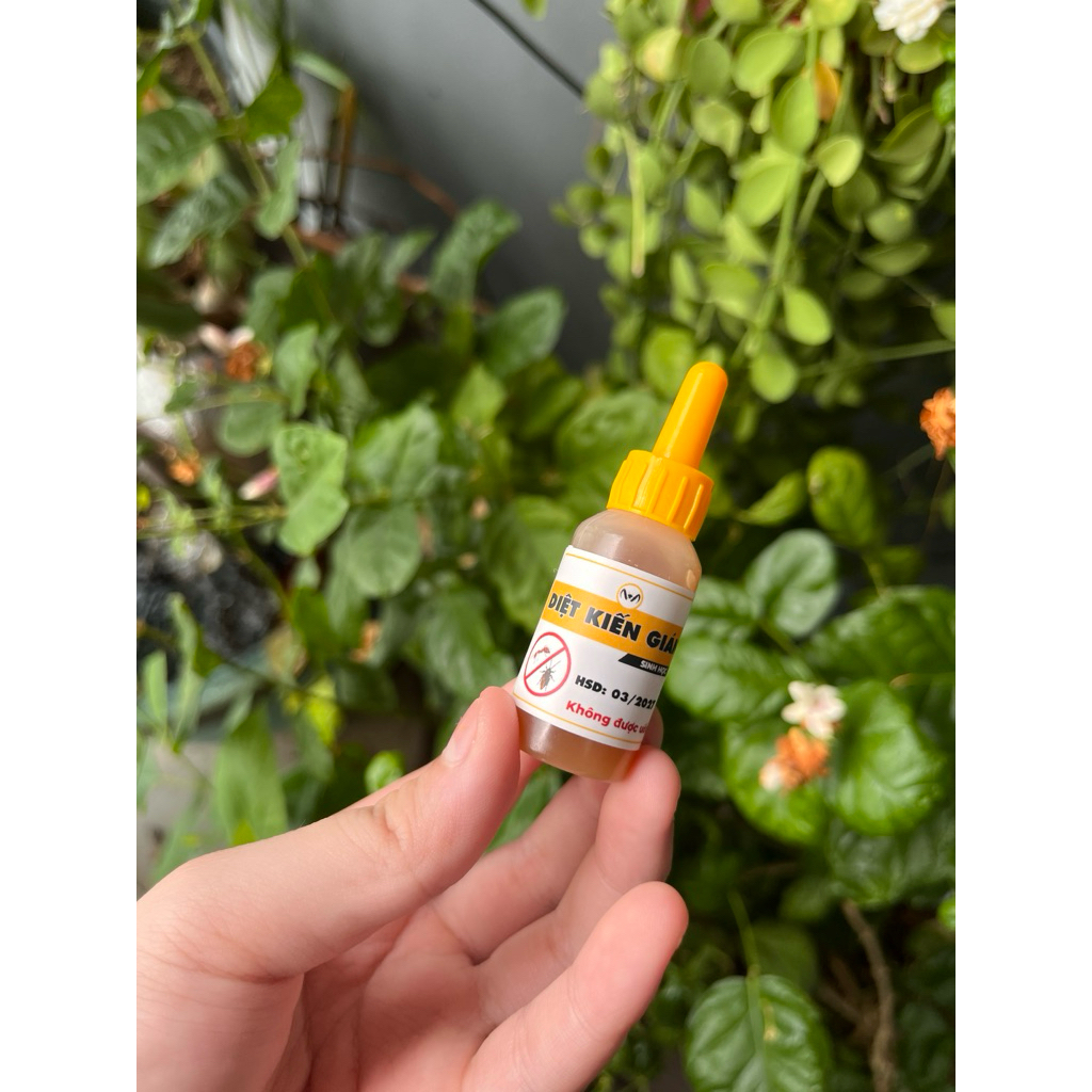 Diệt Gián Kiến - Diệt Kiến Hôi, Kiến Gió, Kiến Lửa, Các Loại Gián - Đọc Kỹ Hướng Dẫn Sử Dụng