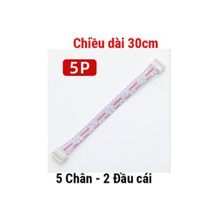 Dây Bus Dài 30Cm