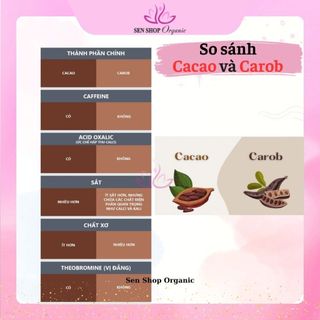 Bột Carob hữu cơ (Terrasoul Superfoods Lightly Roasted Carob Powder) - 454gr