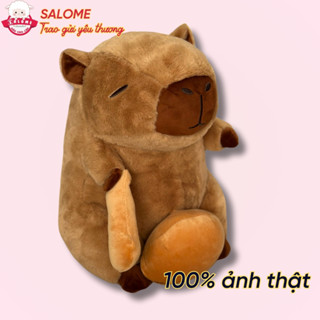 Gấu Bông Capybara Gõ Mõ 35cm Chuột Lang Nước Dễ Thương Cute Đáng Yêu  SALOME, Thú Chuột Lang Ôm Ngủ