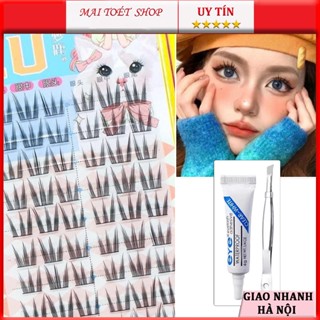 Lông Mi Giả Nữ Siêu Nhiên Dream Deer Girl Nhóm Phong Cách Mèo Móng Vuốt Hoa Hướng Dương Dung Tích Lớn 10 Hàng