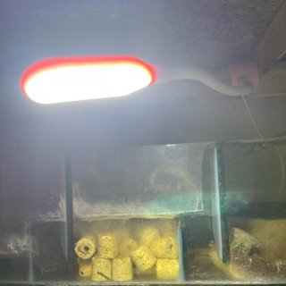Đèn led cảm ứng tiết kiệm điện có chân nam châm hít bám chắc dùng cho máy máy, bàn học, hồ cá, trang trí