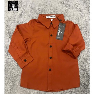 Áo Sơ Mi Màu Cam Gạch, Chất Cotton Trơn Mềm Mịn Mát, Nhiều Size