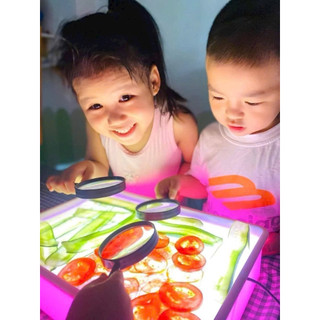 Kính lúp dành cho học sinh