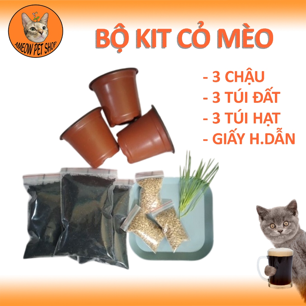 BỘ KIT TỰ TRỒNG CỎ LÚA MÌ CHO MÈO-bộ trồng cỏ mèo đủ dụng cụ-cỏ mèo tươi cho mèo