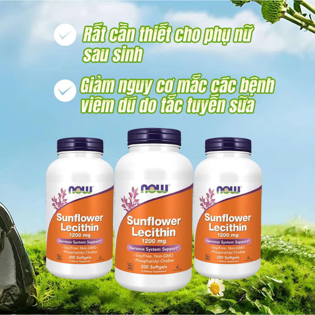 VIÊN U.Ố.N.G C.H.Ố.N.G TẮC TIA SỮA SUNFLOWER LECITHIN