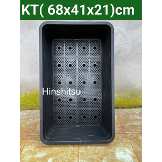  Combo 5 khay Trồng Rau Lớn KT  68x41x21 cm- Khay Trồng Rau Thông Minh- Khay Trồng Rau Sạch KHỔNG LỒ 
