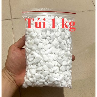 2kg Sỏi Trắng Trang Trí Bể Cá, Chậu Cây