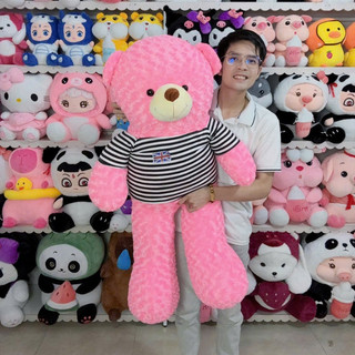 Gấu Bông Teddy Khổ Vải 1M2 Cao 1M