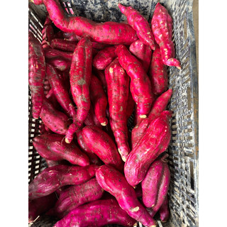 1kg khoai lang nhật dùng thử