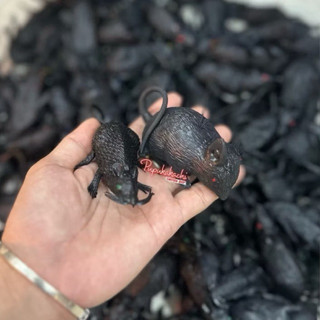 Chuột, Bọ Cạp, Gián, Nhện, Rết Mềm Silicon Nhiều Kích Thước Đồ Chơi Chọc Ghẹo, Trang Trí Halloween