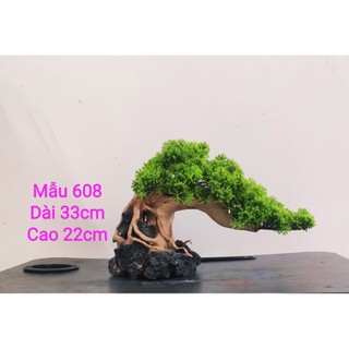 Lũa Bonsai ghép cành tùng nhựa Cho Bể Cá Cảnh Đủ Size