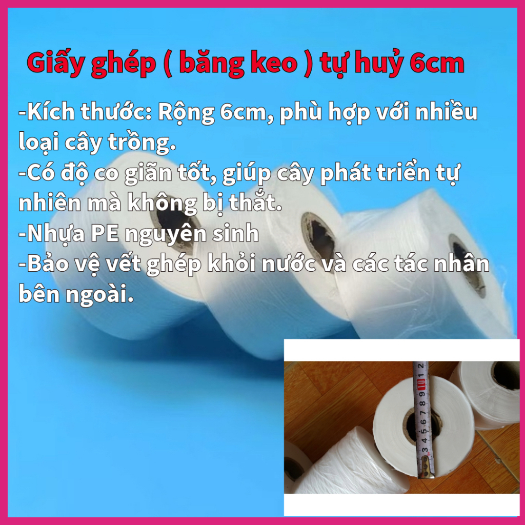 Cuộn Giấy Ghép Cây Tự Hủy 6cm bảo vệ mối ghép