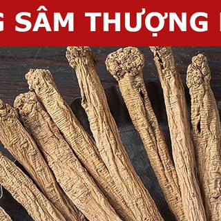 Đẳng Sâm 100gram - Phòng Đảng Sâm (Lộ Đảng Sâm, Cọng To, Già, Khô, Thơm ngon)