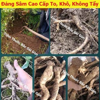 Đẳng Sâm 100gram - Phòng Đảng Sâm (Lộ Đảng Sâm, Cọng To, Già, Khô, Thơm ngon)