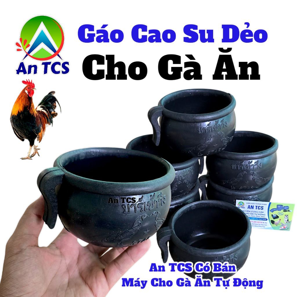 cống gáo cho gà ăn dẻo An TCS