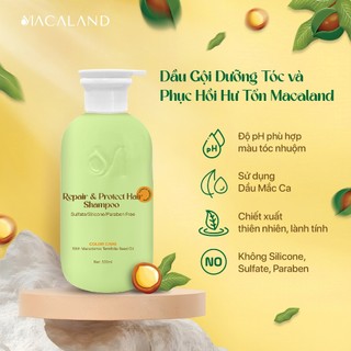  Dầu Gội Dưỡng Tóc Phục Hồi Hư Tổn MACALAND 500ml giữ màu tóc nhuộm giảm khô xơ gãy rụng 