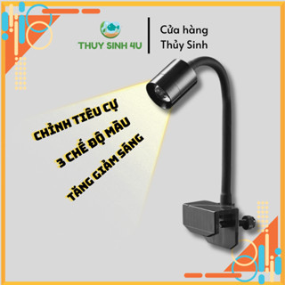 Đèn rọi chỉnh tiêu cự HBPRO, 3 chế độ màu siêu đẹp cho bể cá biotope
