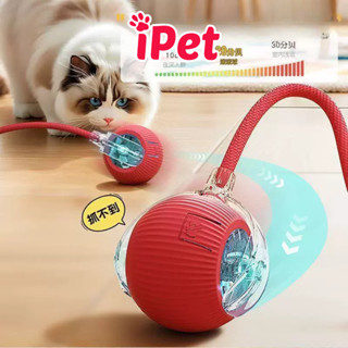 Đồ Chơi Bóng Lăn Tự Động Cho Chó Mèo, Thú Cưng Có Kèm Đuôi Dây Thừng, Banh Lăn Giúp Giảm Stress - iPet Shop