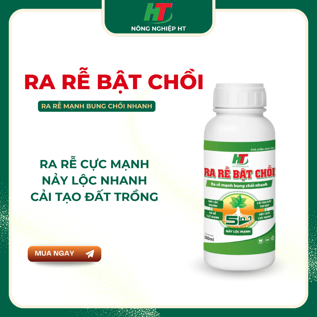 RA RỄ BẬT CHỒI - ra rễ mạnh, bật chồi xanh, có bổ sung vi sinh có lợi