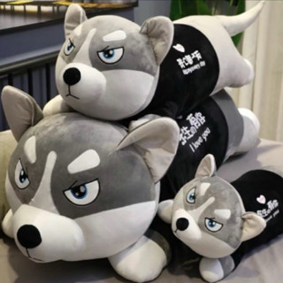 Gấu bông husky đủ size vải miniso hàng mền mịn ôm đã