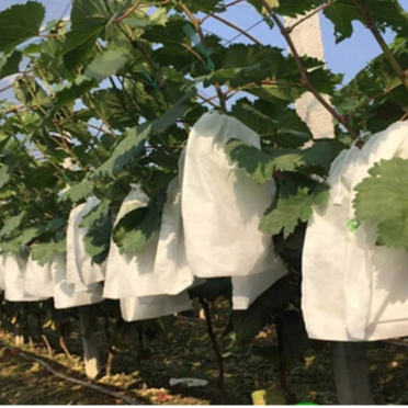  100 Túi Bọc Bưởi Bao Bọc Xoài Ổi Vải Không Dệt Kèm Dây rút Bảo Vệ Trái Cây Chống Côn Trùng Chim 