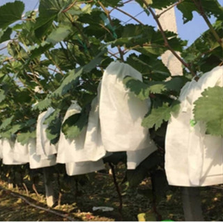 100 Túi Bọc Bưởi, Bao Bọc Xoài Ổi Vải Không Dệt Kèm Dây rút, Bảo Vệ Trái Cây Chống Côn Trùng, Chim