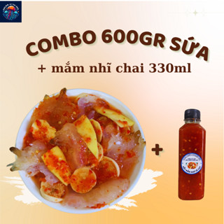 Sứa mắm nhĩ📍Combo CHÂN, THÂN SỨA nhạt 1kg (600g ruột) + 1 chai mắm nhĩ 330ml. [Hỏa tốc HN]