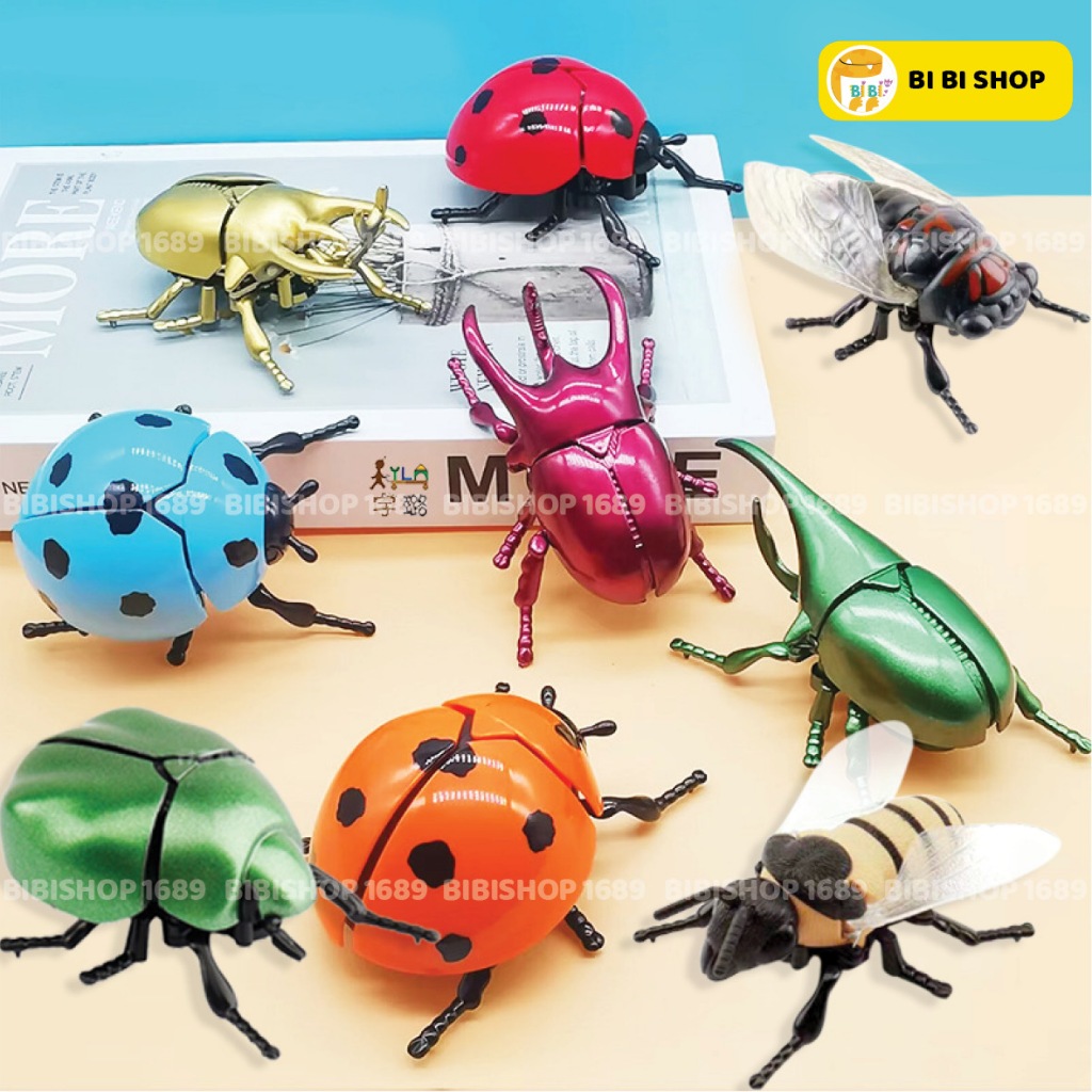 Đồ chơi mô hình côn trùng chạy dây cót vui nhộn – bọ cánh cứng, bọ rùa, ong, ve sầu, bọ cánh cam