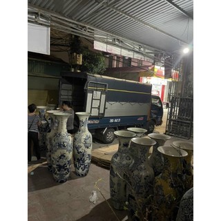 Lộc Bình LOẠI 1 Các Mẫu ( Nhắn tin chọn mẫu trước khi đặt hàng)