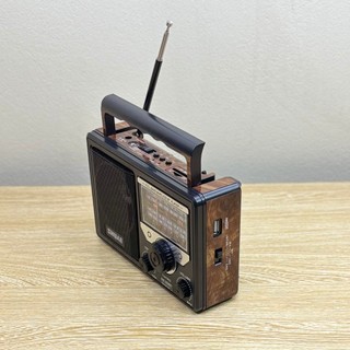 Đài Radio SW-999BT