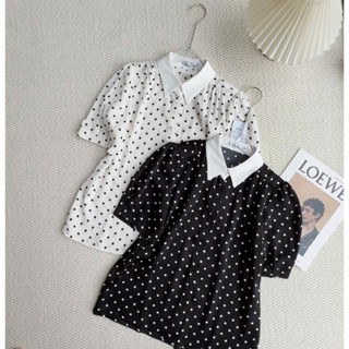 Áo sơ mi chấm bi cổ phối tay cộc lala fashion mã 4153G