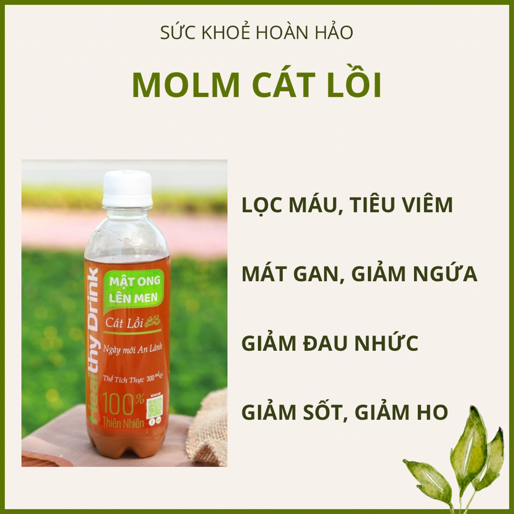 Molm CÁT LỒI - molm CỦ LỌC MÁU