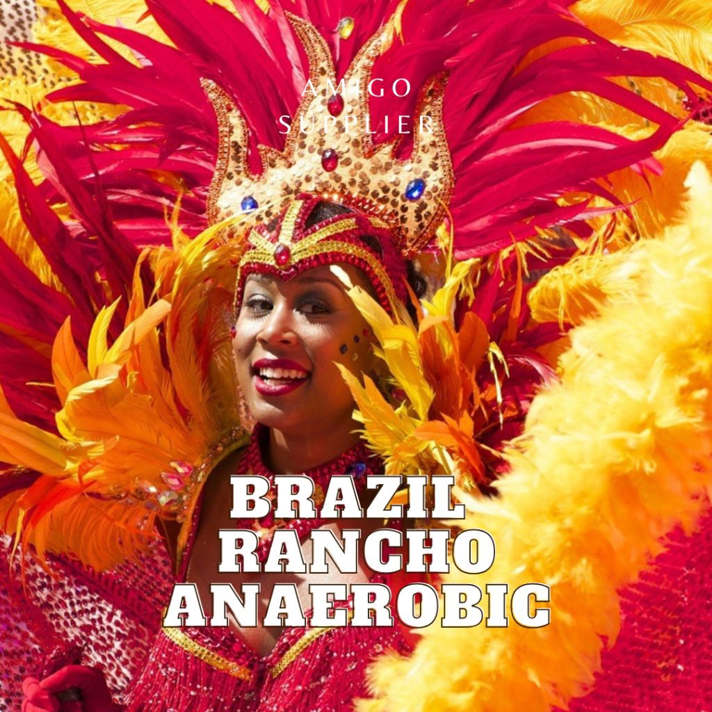 [LẠ] hạt rang cà phê Brazil Rancho Anaerobic