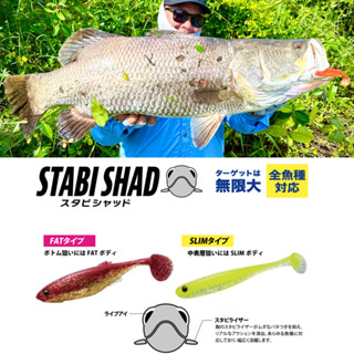 Mồi Mềm Major Craft Stabi Shad Câu Lure Siêu Nhạy Cá Chẽm Lóc Mú