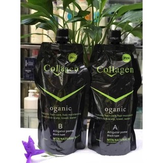 Nhuộm đen tóc Collagen Bơ 1000ML  phủ tóc bạc tại nhà từ tinh chất bơ  an toàn không gây xót, bết dính đen da đầu