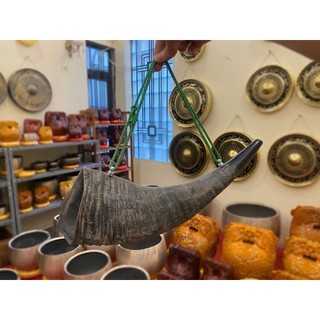 Tù và sừng trâu