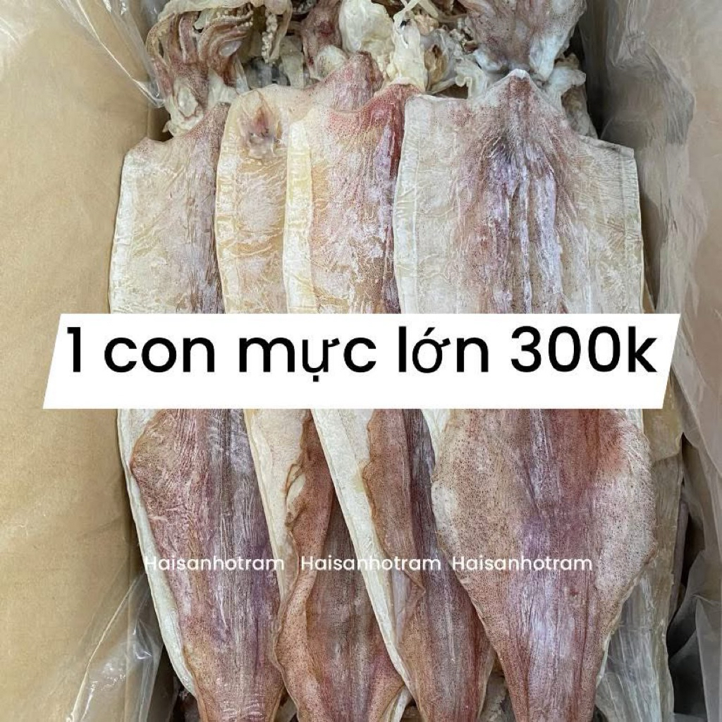 1Con Khô Mực size 6-10con/kg  mực khô Hải Sản Hồ Tràm loại 1
