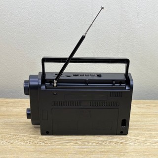 Đài Radio SW-555BT