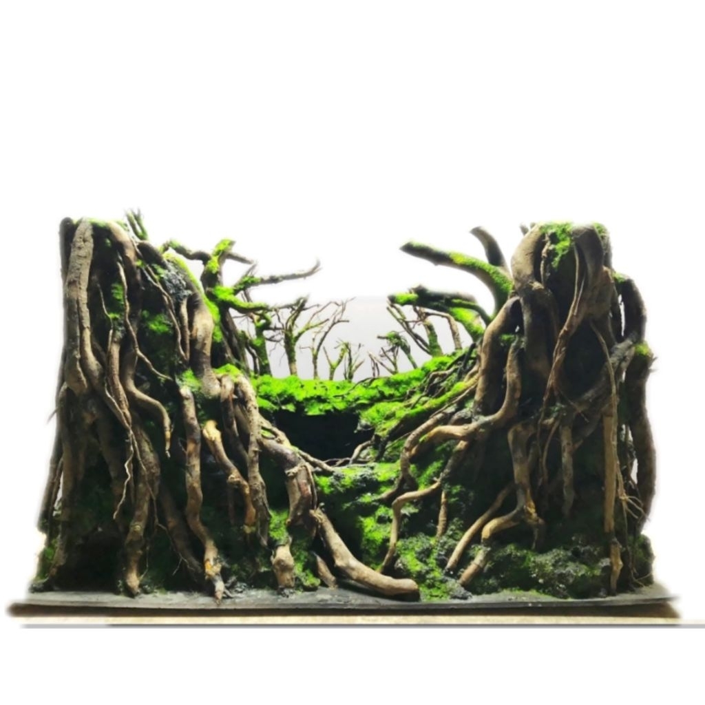 Layout Hố Đen Trang Trí bể cá thủy sinh 30 -20-20