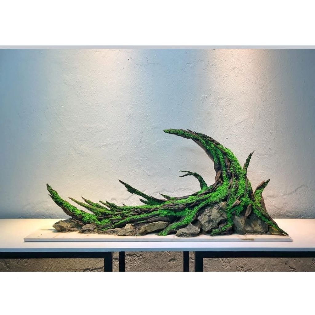 Layout Khuyết Trang trí bể cá thủy sinh 30-20-20