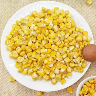  Bắp Mỹ sấy giòn - Thức ăn dặm cho Hamster sóc  nhím  |Hamster Petshop1 