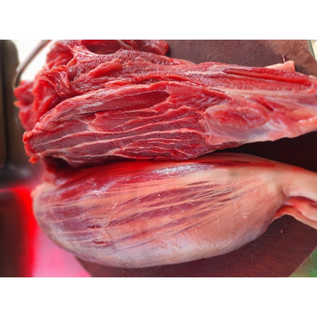 bắp bò hoa ( hỏa tốc )