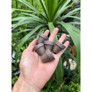 Chậu Đất Nung Mini 3x3cm