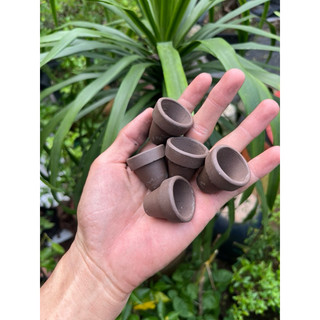 Chậu Đất Nung Mini 3x3cm