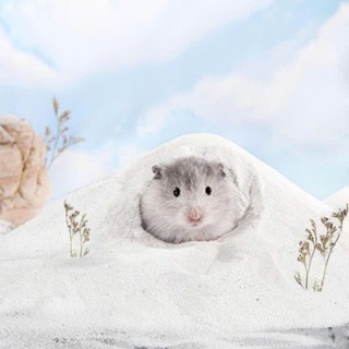 Cát tắm thơm 1kg cho hamster